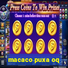 macaco puxa oq